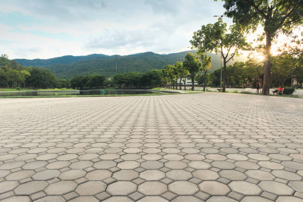 Best Residential Paver Driveway  in Rohnert Park, CA